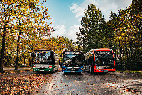 Drei Busse parken am Waldfriedhof Dodesheide direkt nebeneinander. 