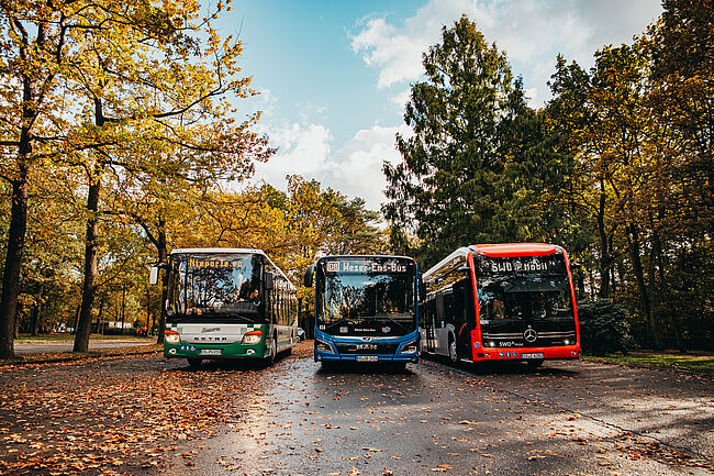 Drei Busse parken am Waldfriedhof Dodesheide direkt nebeneinander. 