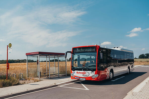 Haltestelle vor Getreidefeld mit Bus
