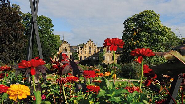 Blumenbeet mit Blick auf das Schloss Ippenburg in der Varus-Region.